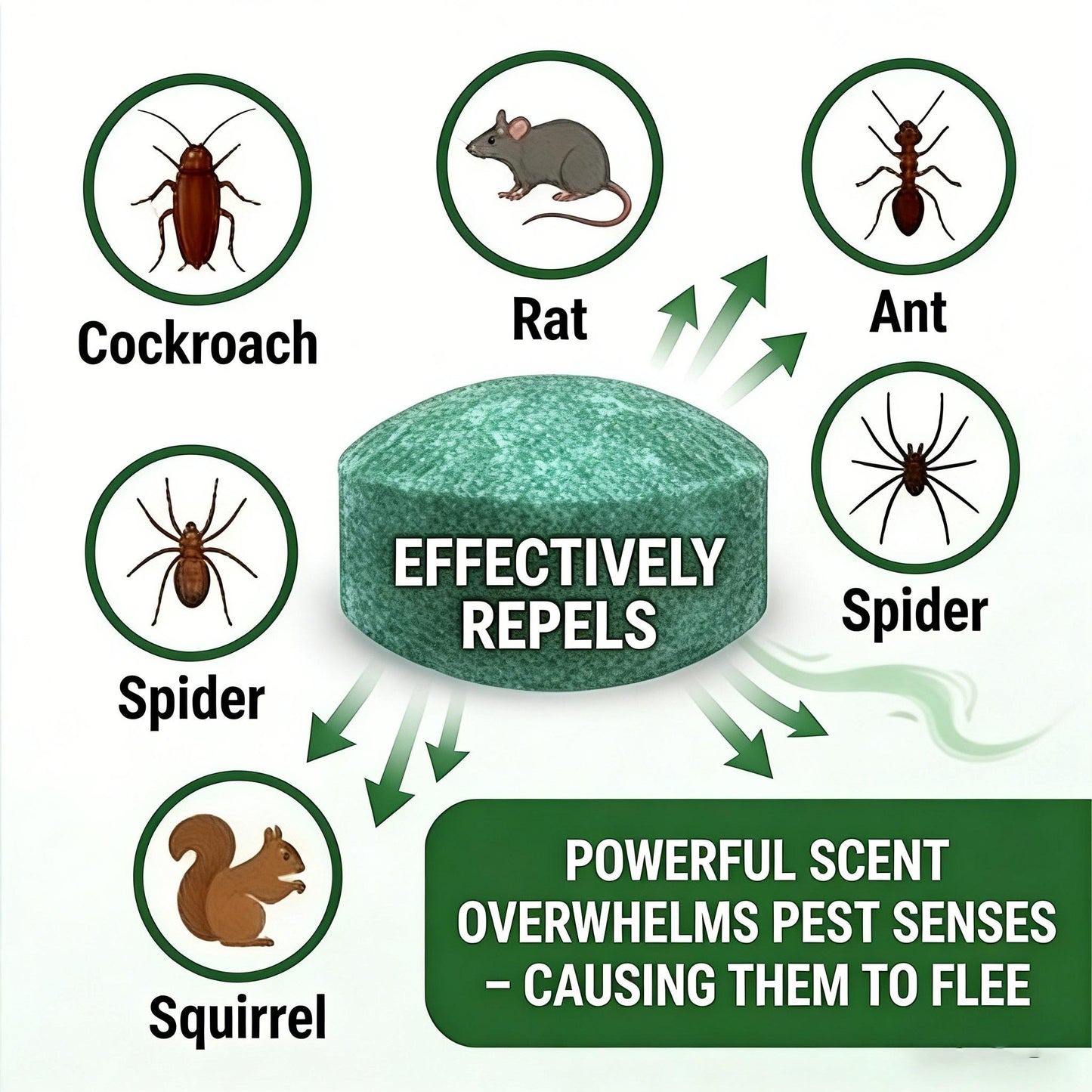 Natural Peppermint Rodent Repellent Balls (12 PCS) – Keep Rats, Mice & Pests Away Safely